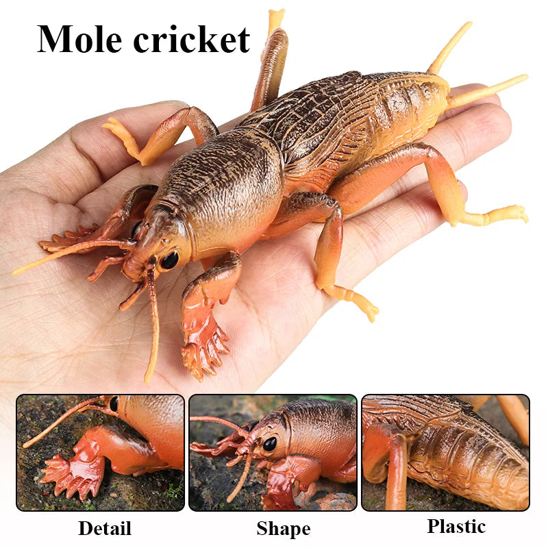 Oenux Insect Animals Model Figurine Butterfly Ant Dragonfly Spider Bee Mantis Scorpion Action Figures Educational Kid Toy Gift