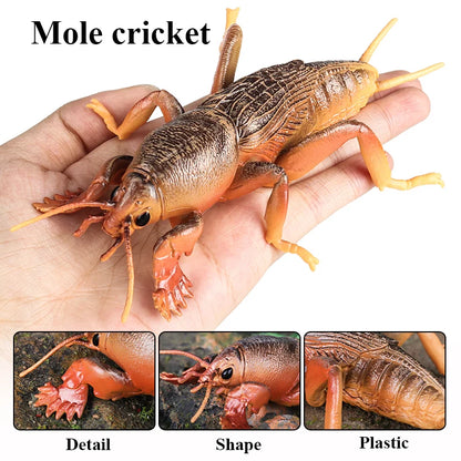 Oenux Insect Animals Model Figurine Butterfly Ant Dragonfly Spider Bee Mantis Scorpion Action Figures Educational Kid Toy Gift