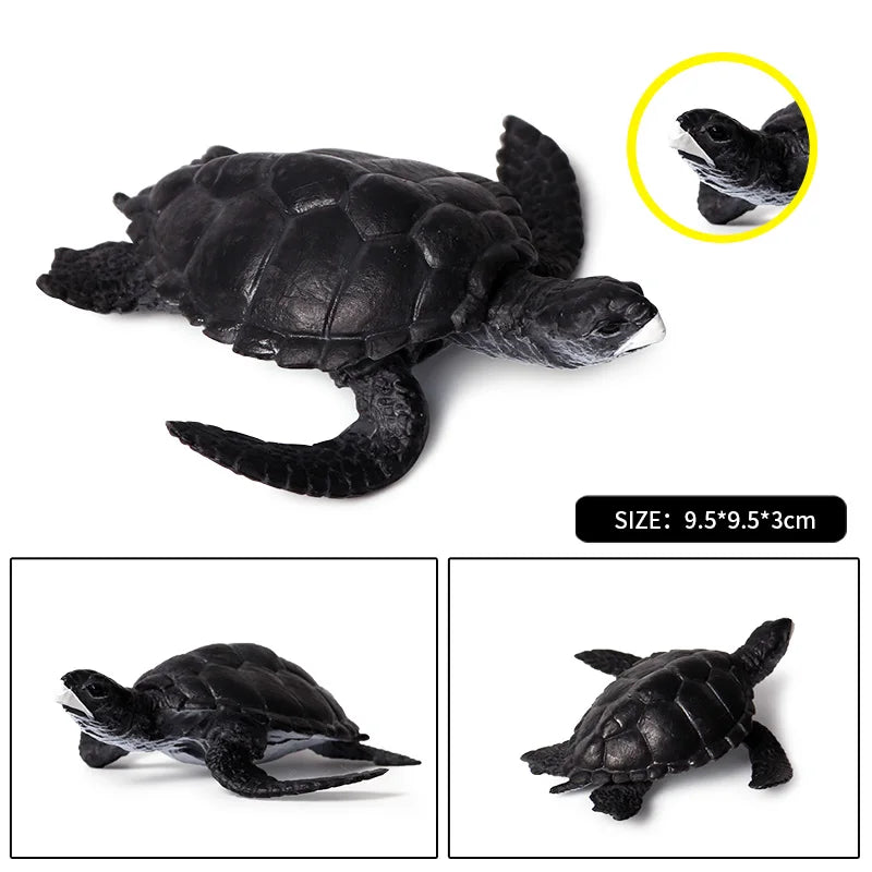 Oenux Ocean Animals  Leatherback Tortoise Turtle Growth Cycle Sea Life Model Figurines Action Figures PVC Education Kid Toy Gift