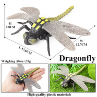 insect model 5