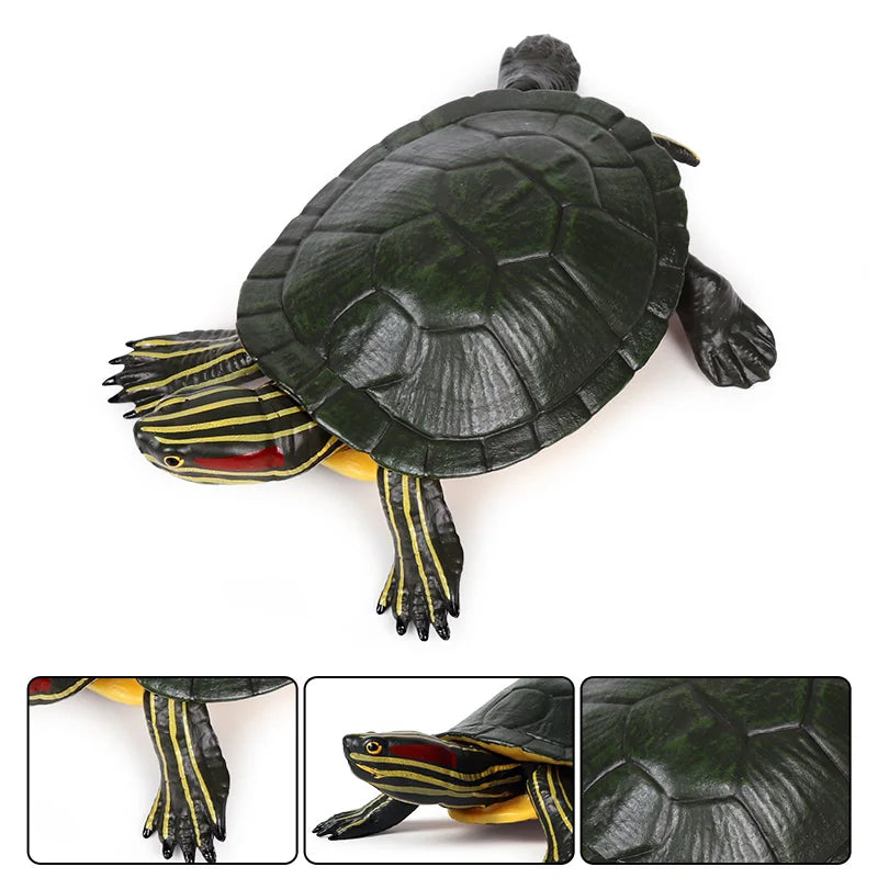 Oenux Ocean Animals  Leatherback Tortoise Turtle Growth Cycle Sea Life Model Figurines Action Figures PVC Education Kid Toy Gift