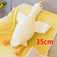 35cm