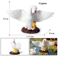 animals model 6