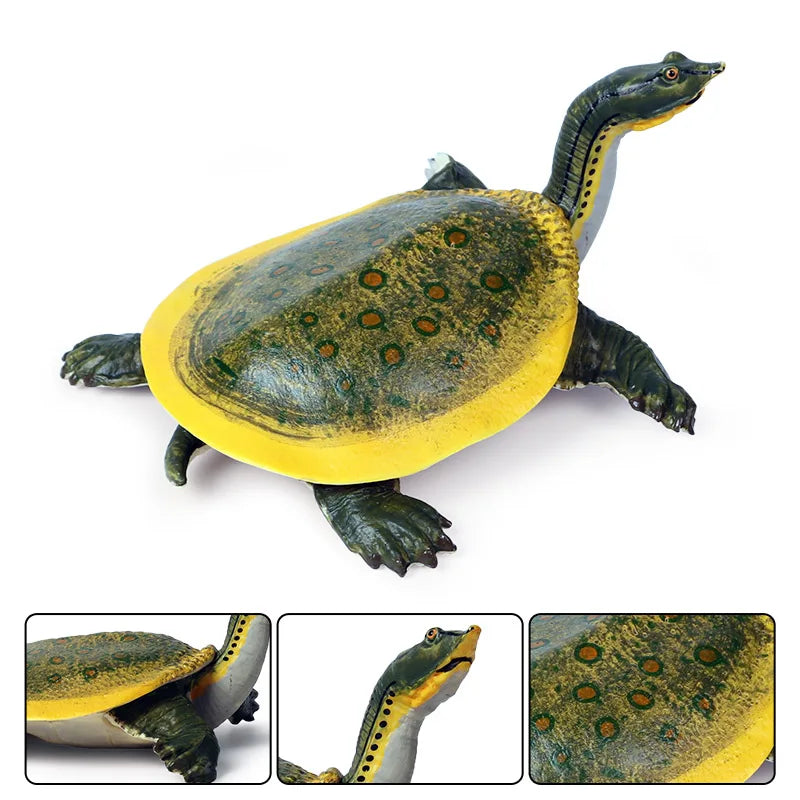 Oenux Ocean Animals  Leatherback Tortoise Turtle Growth Cycle Sea Life Model Figurines Action Figures PVC Education Kid Toy Gift