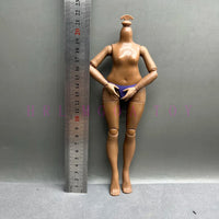 B22-Height 24cm
