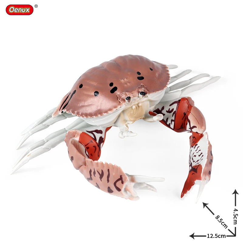 Oenux Ocean Animals Simulation Hermit Crab Nautiloidea Octopus Sea Life Model Figurines Action Figures Collection Kids Toy Gift