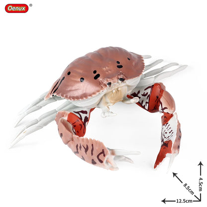 Oenux Ocean Animals Simulation Hermit Crab Nautiloidea Octopus Sea Life Model Figurines Action Figures Collection Kids Toy Gift