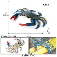 animal model 4