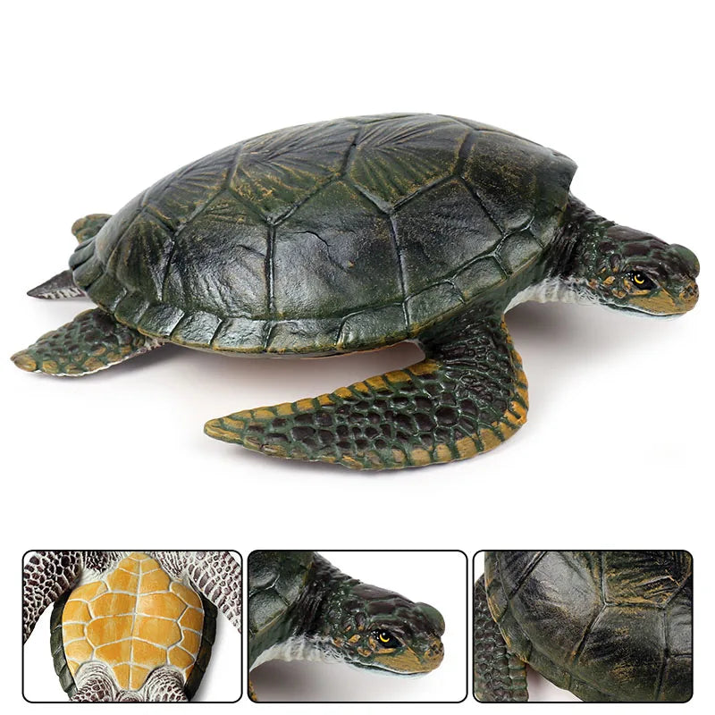 Oenux Ocean Animals  Leatherback Tortoise Turtle Growth Cycle Sea Life Model Figurines Action Figures PVC Education Kid Toy Gift