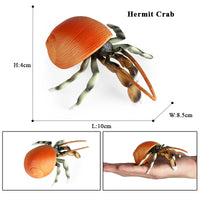 animal model 9