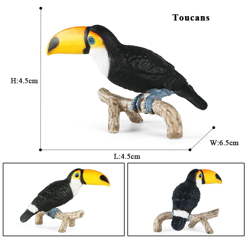 Oenux Garden Bird Figurines Snowy Owl Toucan Bucerotidae Animals Model PVC Action Figures Collection Toys For Kids Birthday Gift