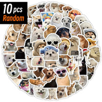 10 Pcs Random
