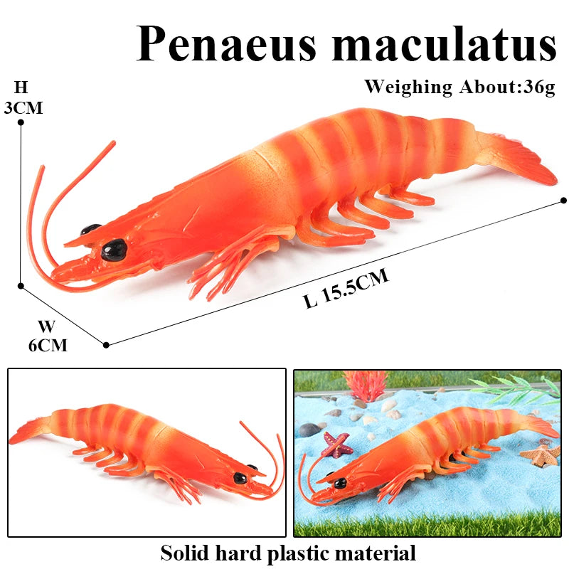 Oenux Ocean Animals Simulation Tiger Prawn Crayfish Shrimp Sea Life Model Figurines Action Figures Collection Toys For Kids Gift