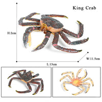animal model 6