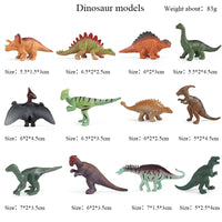 12pcs 6