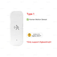 Type 1 for Z2M