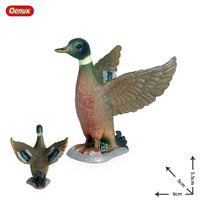 animals model 26