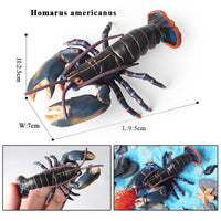 Shrimp model 20