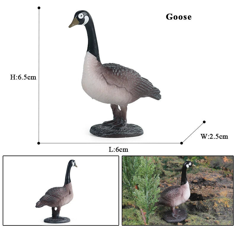 Oenux Poultry Model Simulation Goose Swan Gaggle Duck Flock Action Figures Farm Animals Figurine Miniature Education Kids Toy