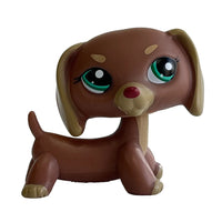 Dachshund 1751