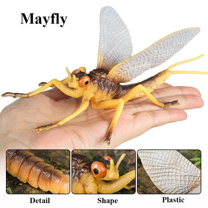 Oenux Insect Animals Model Figurine Butterfly Ant Dragonfly Spider Bee Mantis Scorpion Action Figures Educational Kid Toy Gift