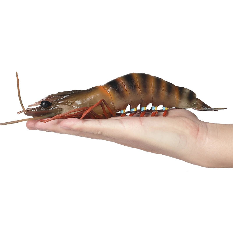 Oenux Ocean Animals Simulation Tiger Prawn Crayfish Shrimp Sea Life Model Figurines Action Figures Collection Toys For Kids Gift
