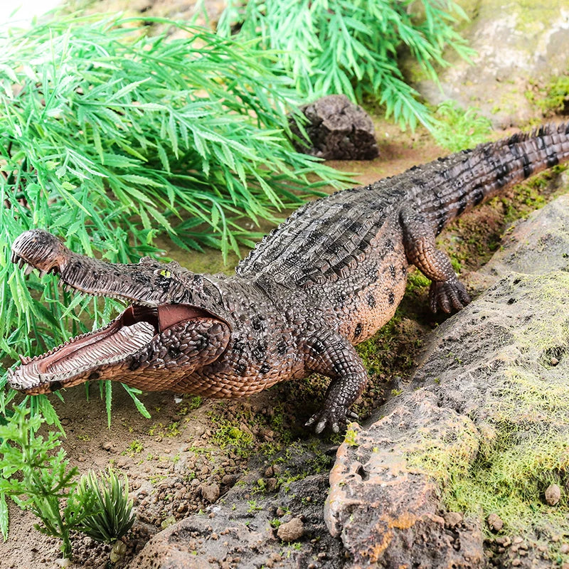 Oenux Wild Animals Action Figures Simulation Sarcosuchus Crocodiles Boar Croc Model PVC Collection Decorate Kids Educational Toy
