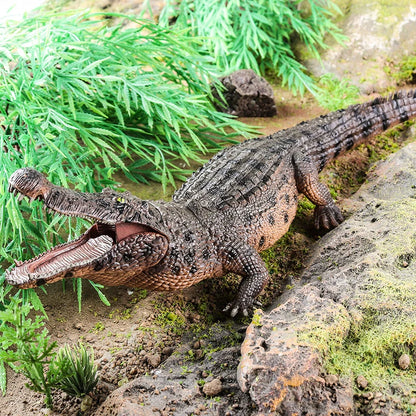 Oenux Wild Animals Action Figures Simulation Sarcosuchus Crocodiles Boar Croc Model PVC Collection Decorate Kids Educational Toy
