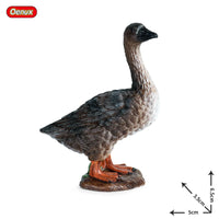animals model 10