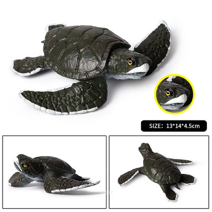 Oenux Ocean Animals  Leatherback Tortoise Turtle Growth Cycle Sea Life Model Figurines Action Figures PVC Education Kid Toy Gift