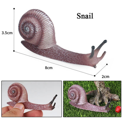 Oenux Wild Insect Animals Snails Growth Cycle Model Garden Decoration Figurines PVC Miniature Cute Education Kids Toys