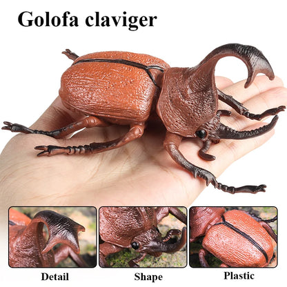 Oenux Insect Animals Model Figurine Butterfly Ant Dragonfly Spider Bee Mantis Scorpion Action Figures Educational Kid Toy Gift