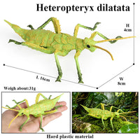 insect model 12