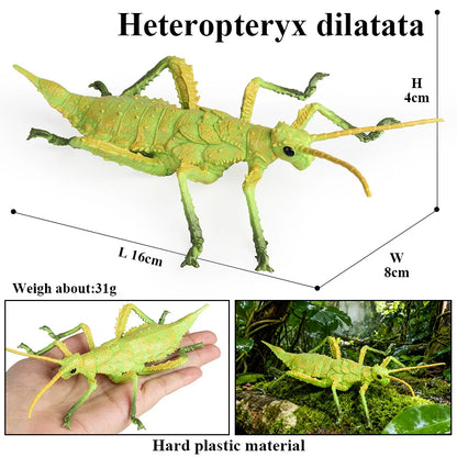 Oenux Insect Animals Model Figurine Butterfly Ant Dragonfly Spider Bee Mantis Scorpion Action Figures Educational Kid Toy Gift