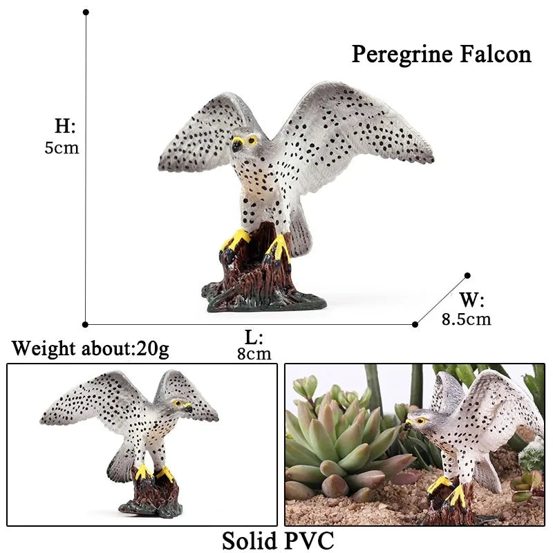 Oenux Garden Bird Figurines Snowy Owl Toucan Bucerotidae Animals Model PVC Action Figures Collection Toys For Kids Birthday Gift