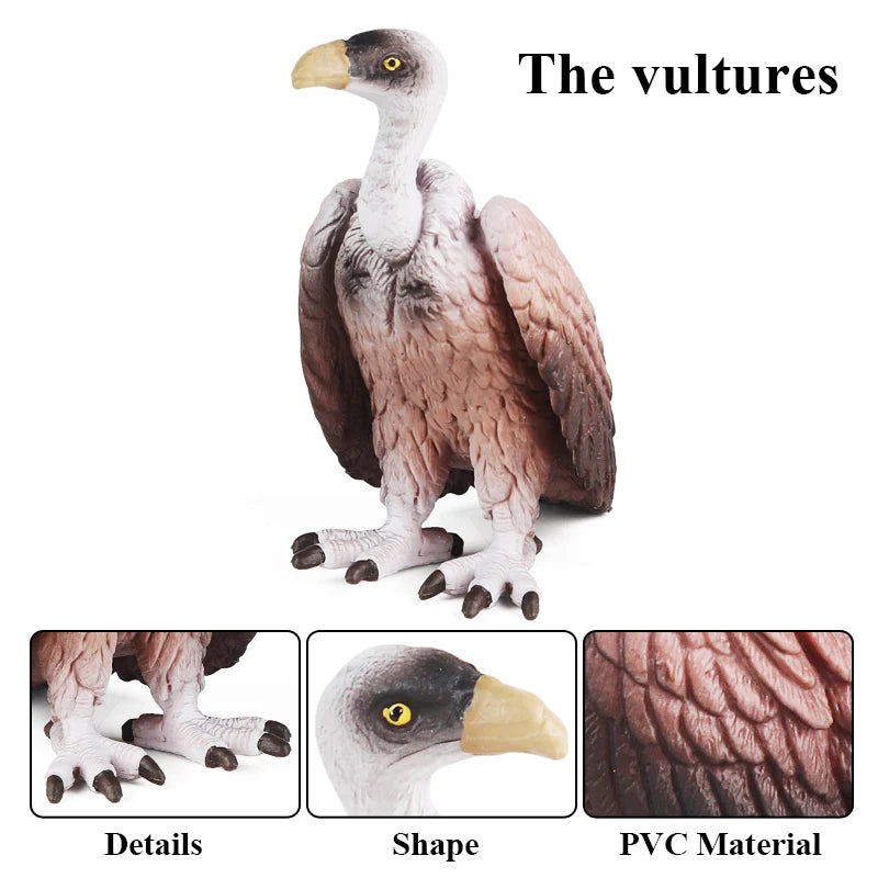 Oenux Wild Bird Animals Forest Night Eagle Condor Figurines PVC Action Figure Garden Decoration Education Miniature Toy Kid Gift