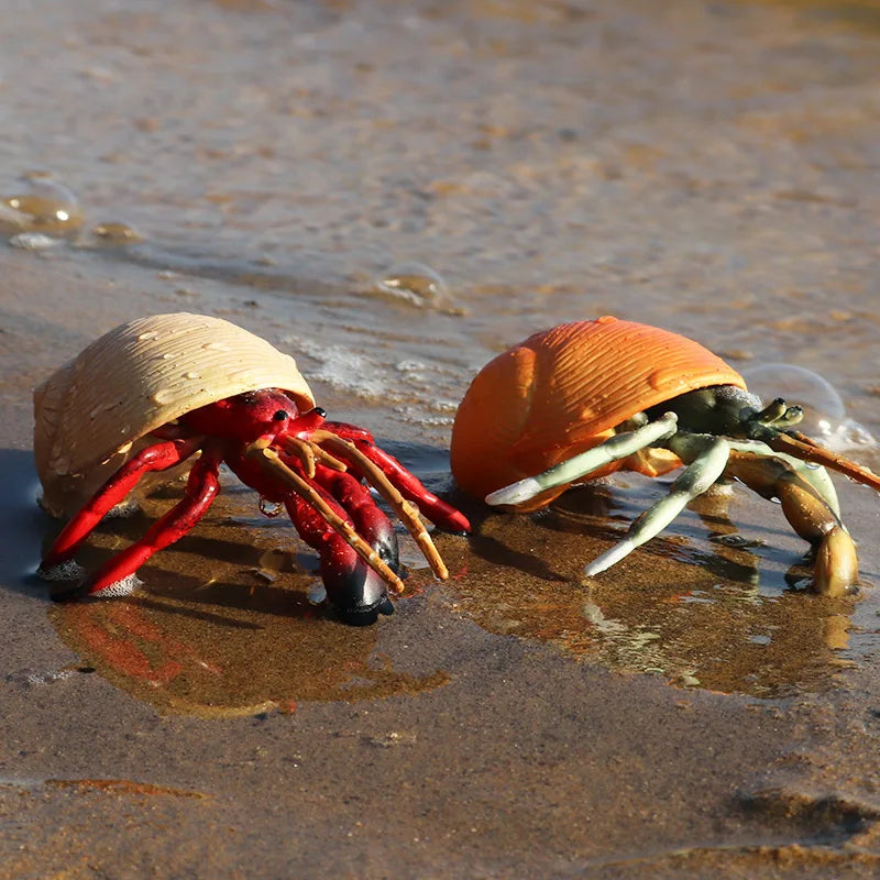 Oenux Simulation Ocean Sea Life Animals Model Lovely Crab Action Figures Toy Cake Toppers Collection Jouet Kids Education Gift