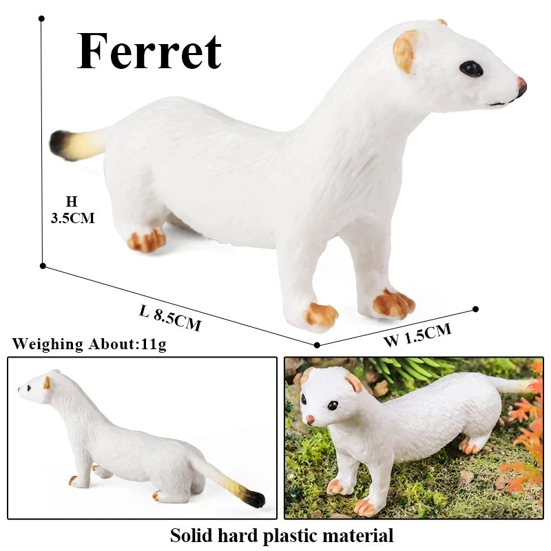 Oenux Arctic South Pole Animals Simulation Penguins Polar Bear Wolf Beluga Whale Action Figures Model Figurine PVC Kid Toy Gift