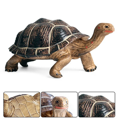 Oenux Ocean Animals  Leatherback Tortoise Turtle Growth Cycle Sea Life Model Figurines Action Figures PVC Education Kid Toy Gift