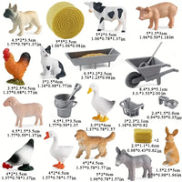 20pcs