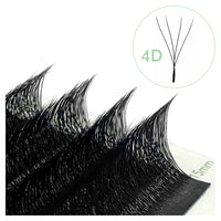 W-shaped 4D