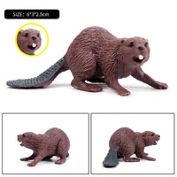 animals model 12