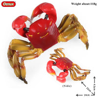 ocean toy 9