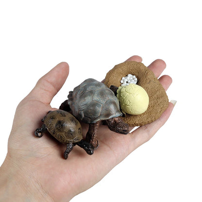 Oenux Ocean Animals  Leatherback Tortoise Turtle Growth Cycle Sea Life Model Figurines Action Figures PVC Education Kid Toy Gift