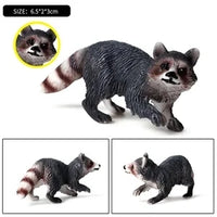 animals model
