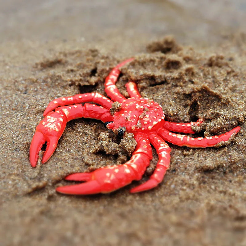 Oenux Simulation Ocean Sea Life Animals Model Lovely Crab Action Figures Toy Cake Toppers Collection Jouet Kids Education Gift