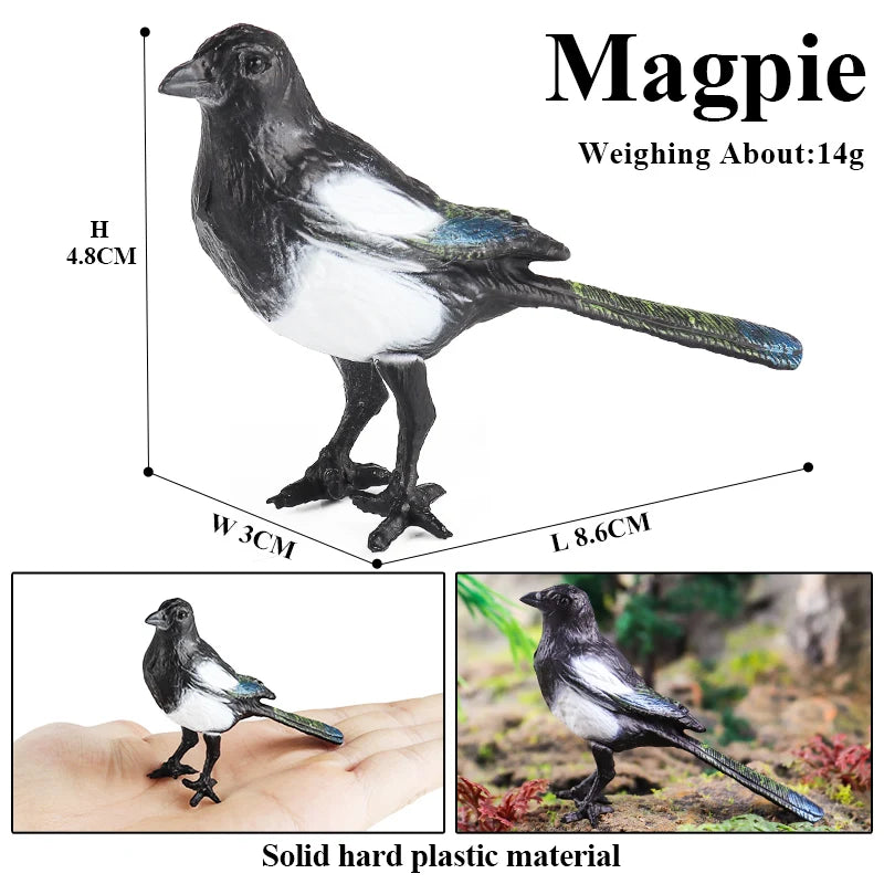 Oenux Garden Bird Figurines Snowy Owl Toucan Bucerotidae Animals Model PVC Action Figures Collection Toys For Kids Birthday Gift