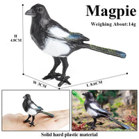 bird 19