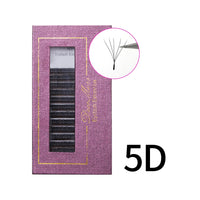 5D
