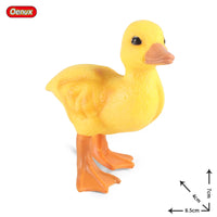 animals model 32